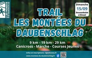 Trail les montées du Daubenschlag - Dossenheim Sur Zinsel