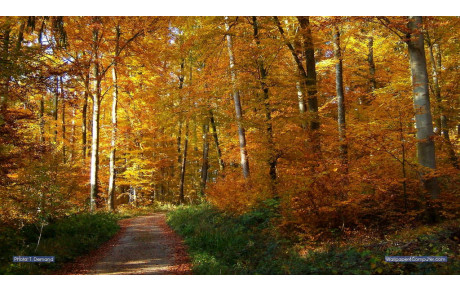 Nouveaux horaires d'entrainements &quot;hiver&quot;