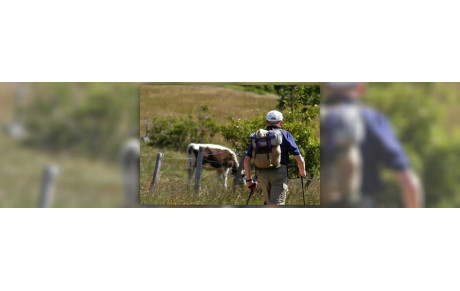 Marches Populaires 2015 - 2ème semestre